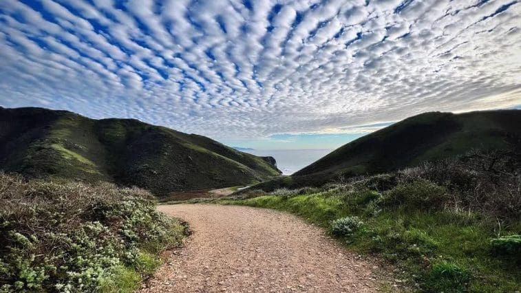 5 Great Bay Area Hikes with No Steep Hills to Climb